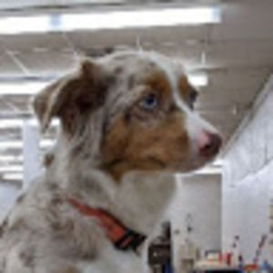 Meet your Posher, Jasmine